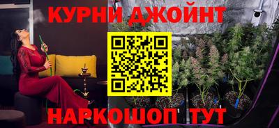 мяу мяу мука Будённовск