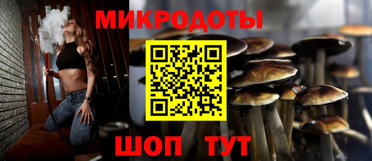 Ленинск-Кузнецкий  Галлюциногенные грибы мицелий  Вход с VPN 